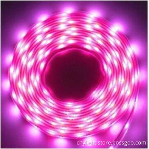 Flexible Black Light LED Strips 5050 Decorotaive Rope Light